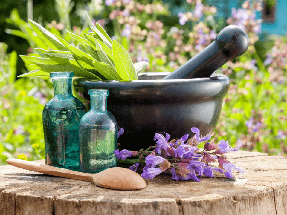 Herbes pour bains médicinaux pour l'ostéochondrose